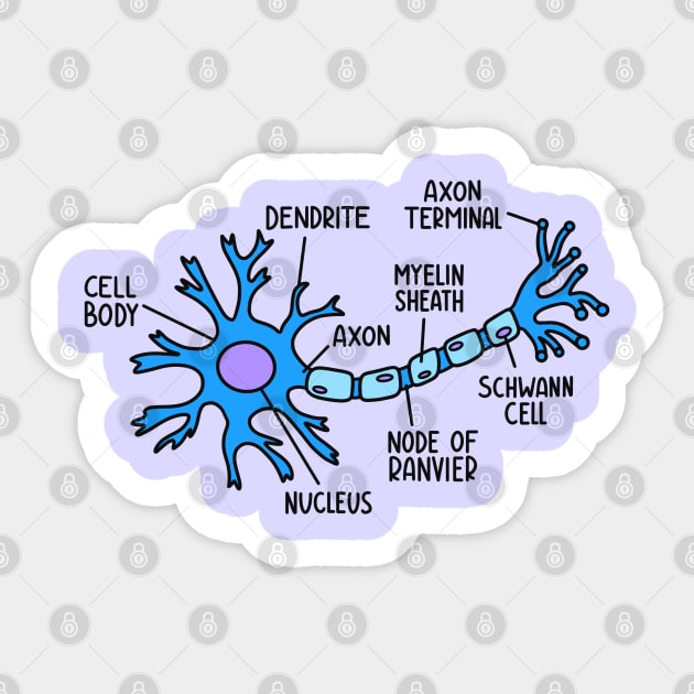 Hand Drawn Neuron Diagram Sticker by Sofia Sava